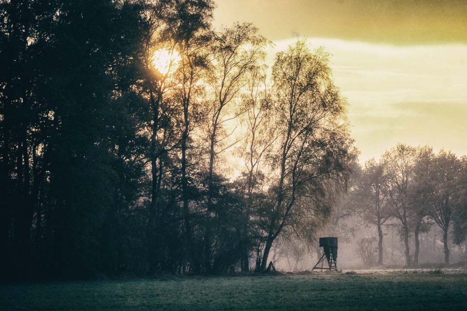 Moorlandschaft bei Sonnenuntergang