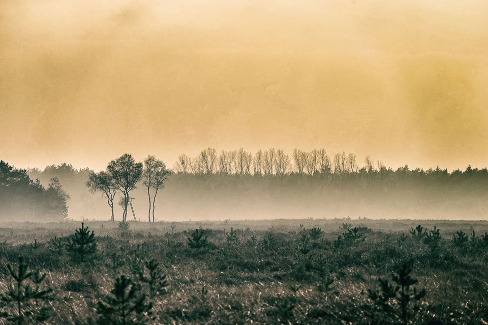 Moorlandschaft bei Sonnenuntergang