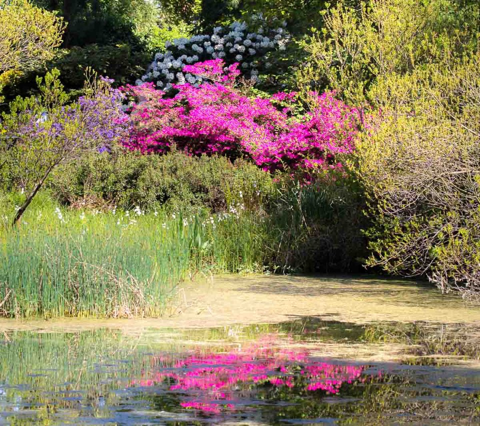 Berggarten - Herrenhausen - Hannover