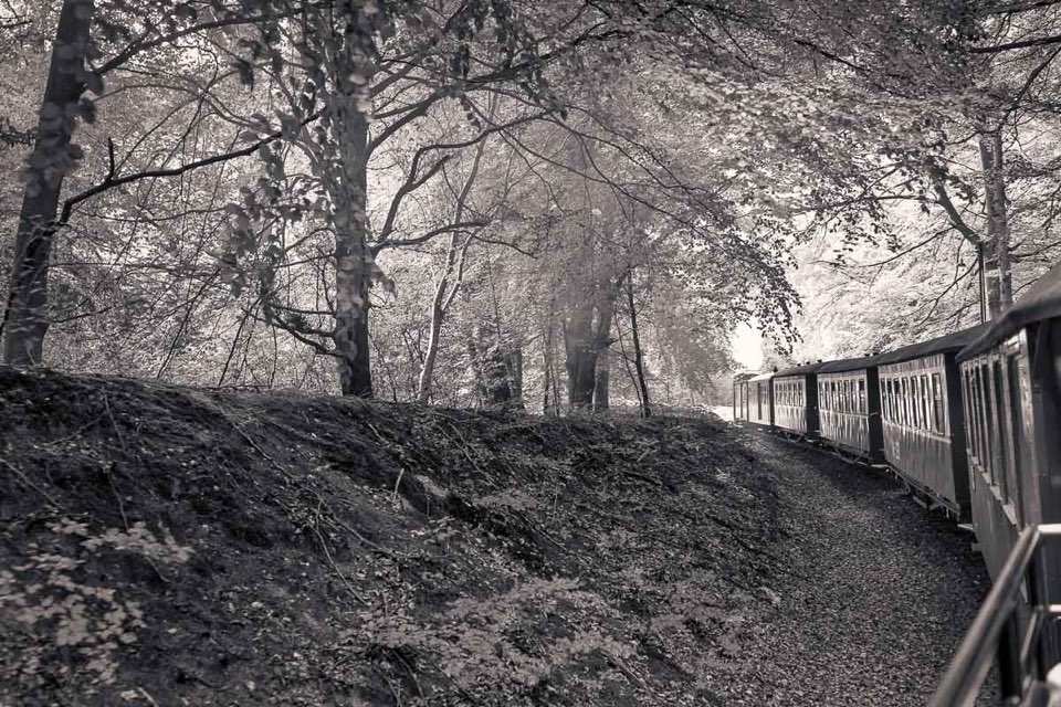 Der Rasende Roland - Rügen - sw Foto