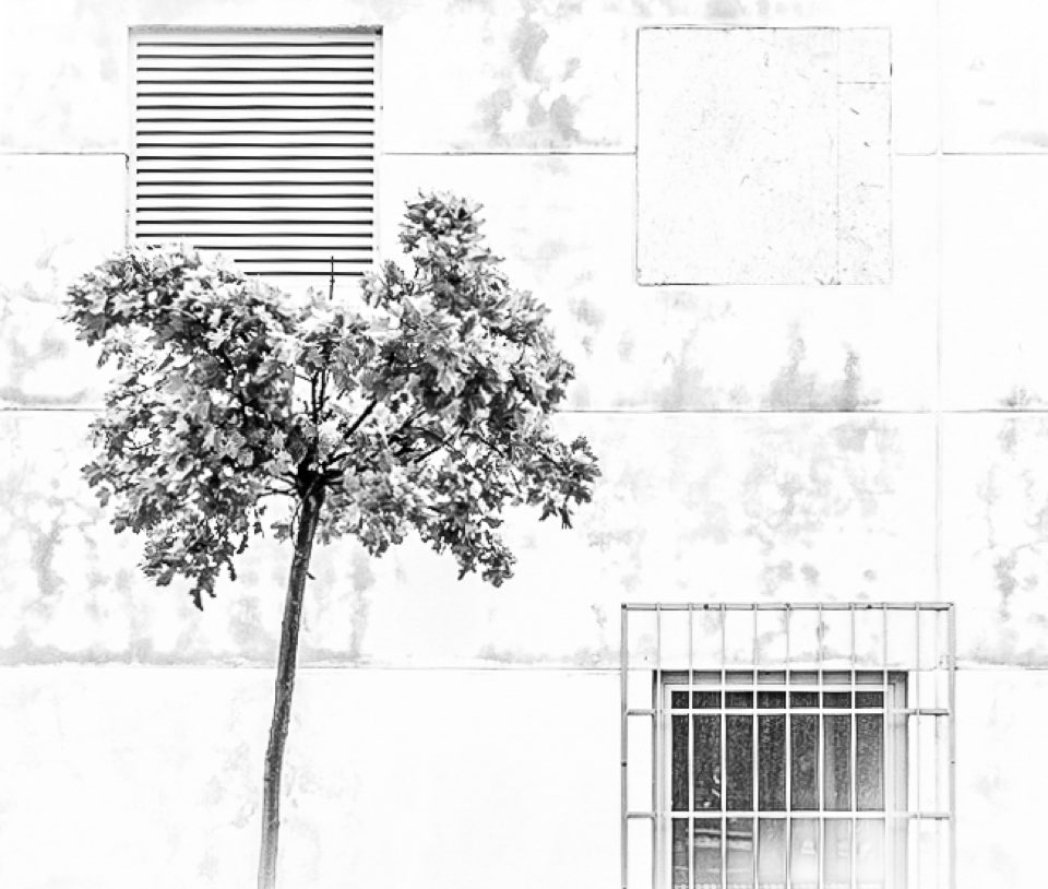 Black and White Minimalism