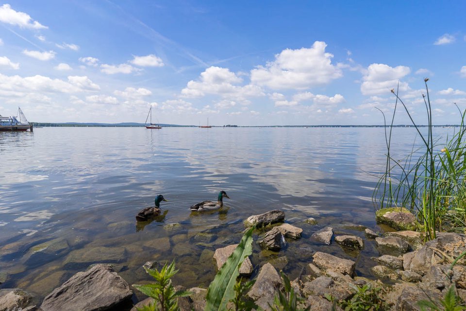 Ausflugsziel Region Hannover, Steinhuder Meer