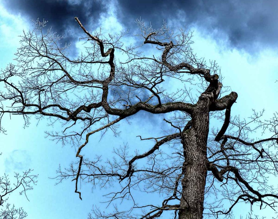 Solarisation, Fotobearbeitung