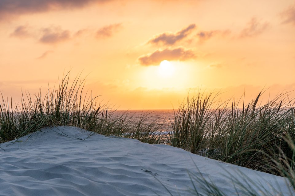 Dünen, Sonnenuntergang
